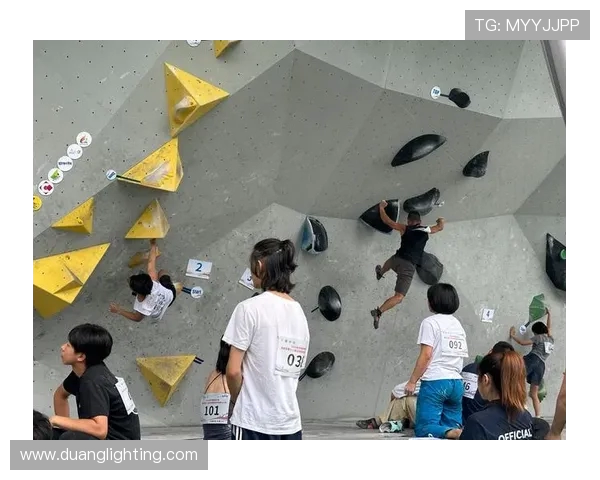 武汉攀岩队与重庆攀岩队技术对比赛后分析与总结