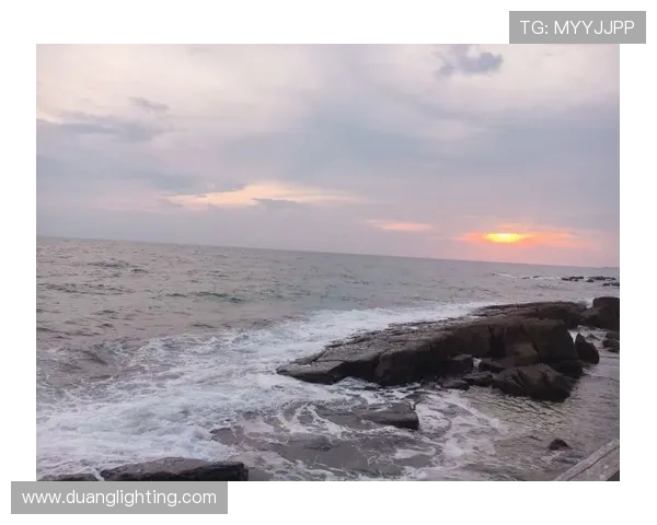 德岛漩涡与爱媛的魅力对决探索两地文化与自然的独特风情